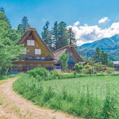 app开元集团apk900